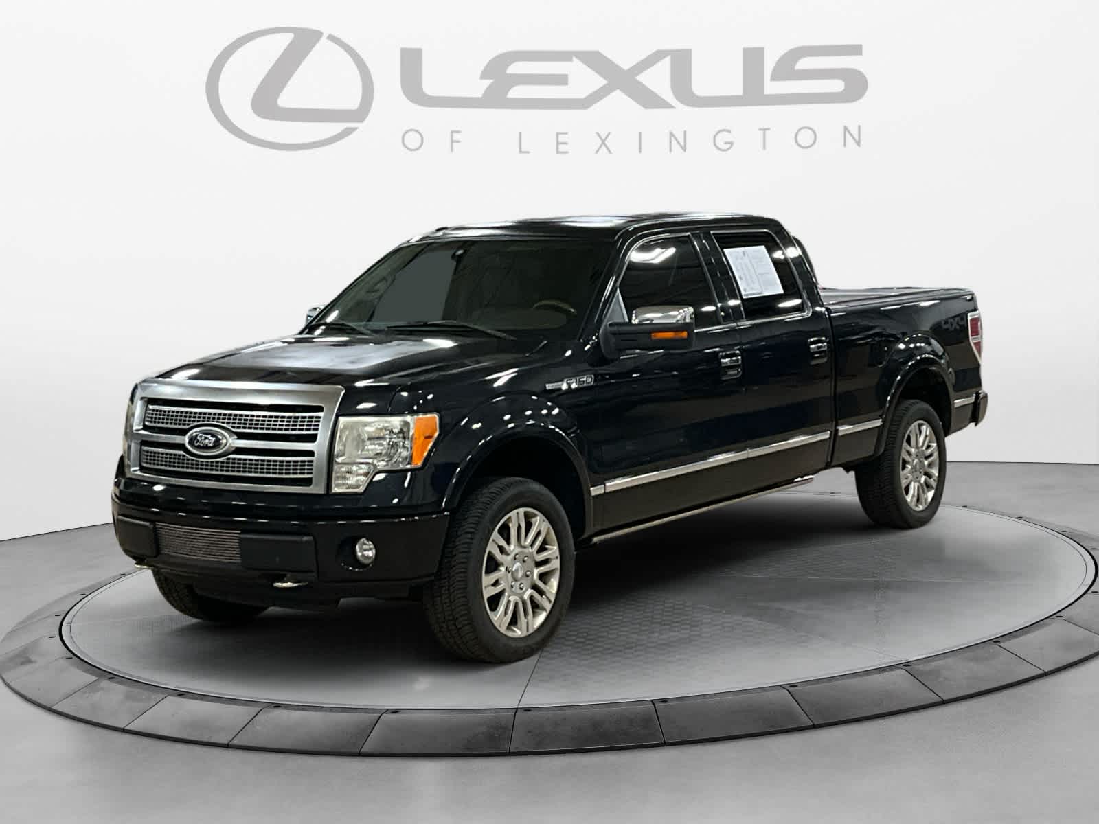 2010 Ford F-150 Platinum