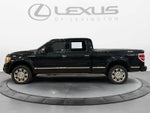 2010 Ford F-150 Platinum