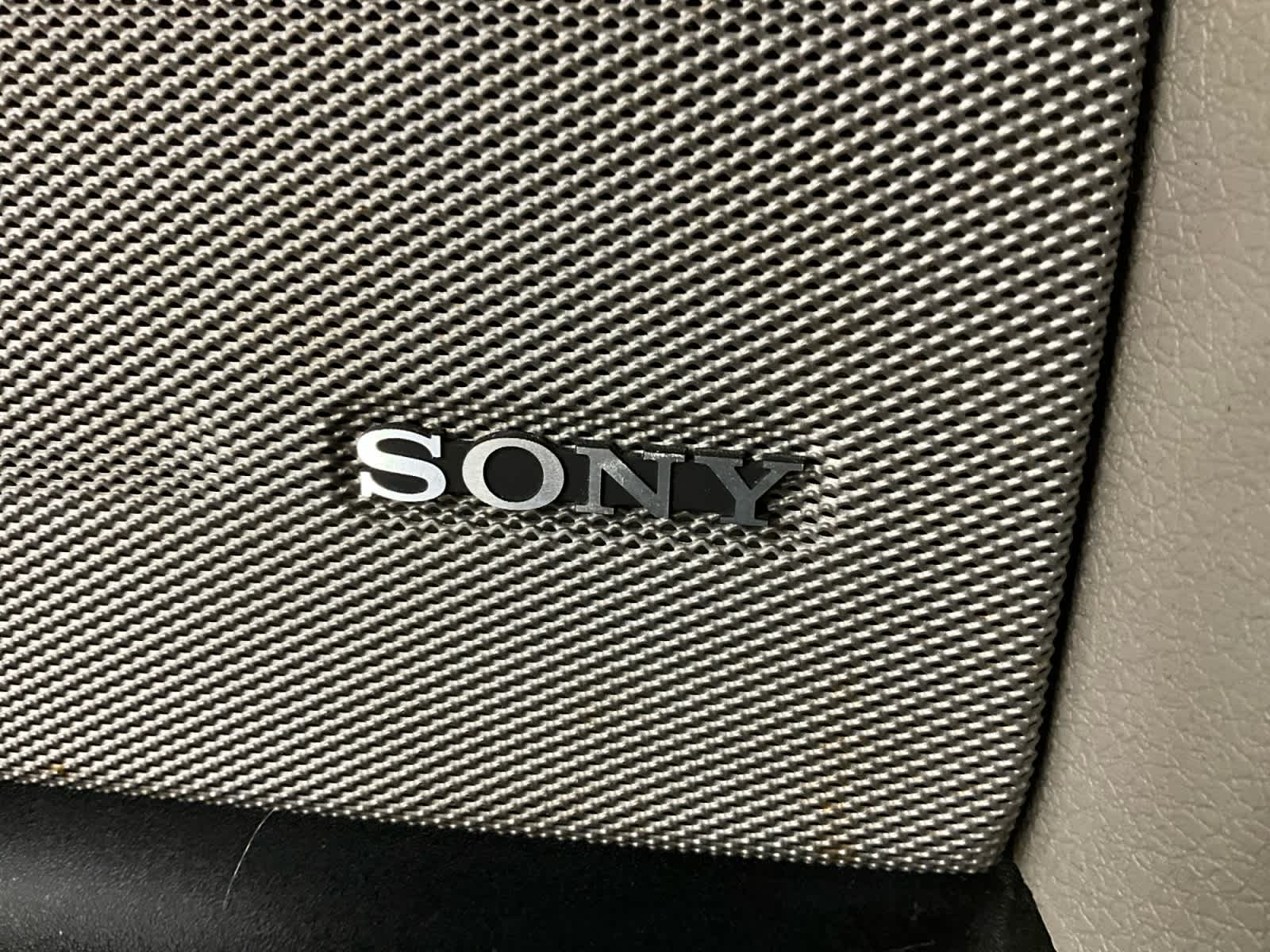 2010 Ford F-150 Platinum