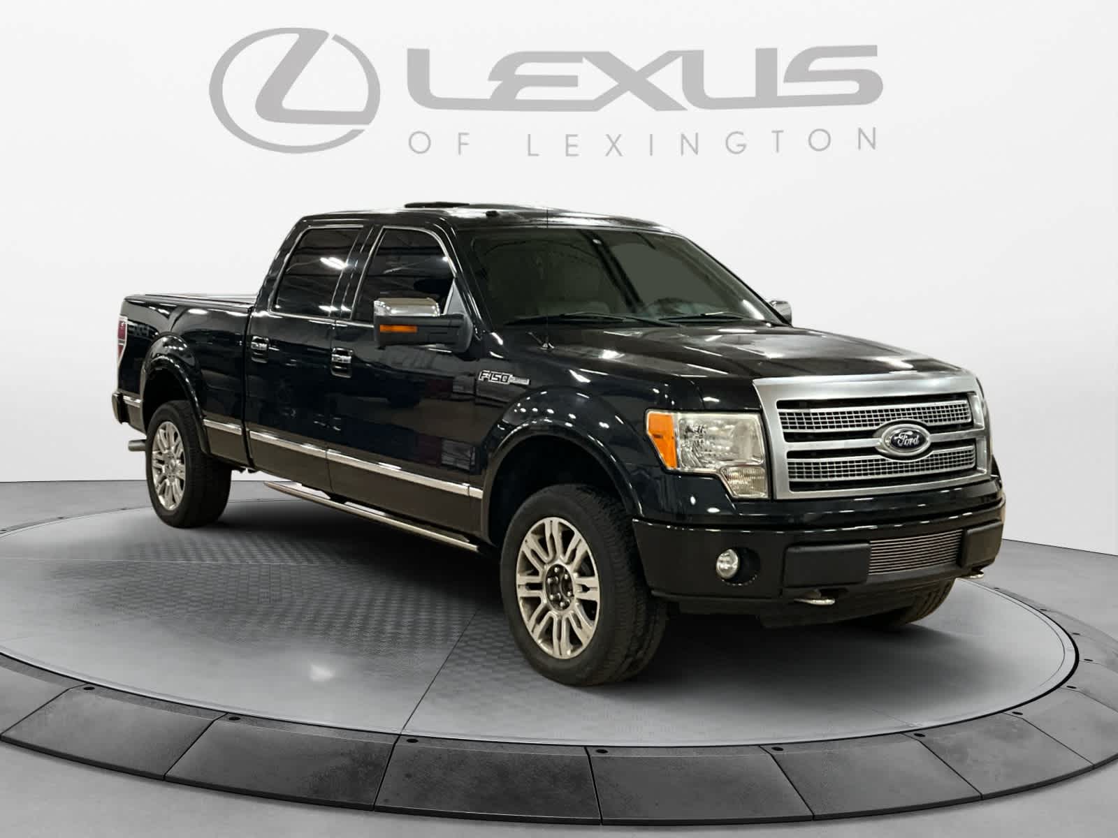 2010 Ford F-150 Platinum