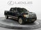 2010 Ford F-150 Platinum