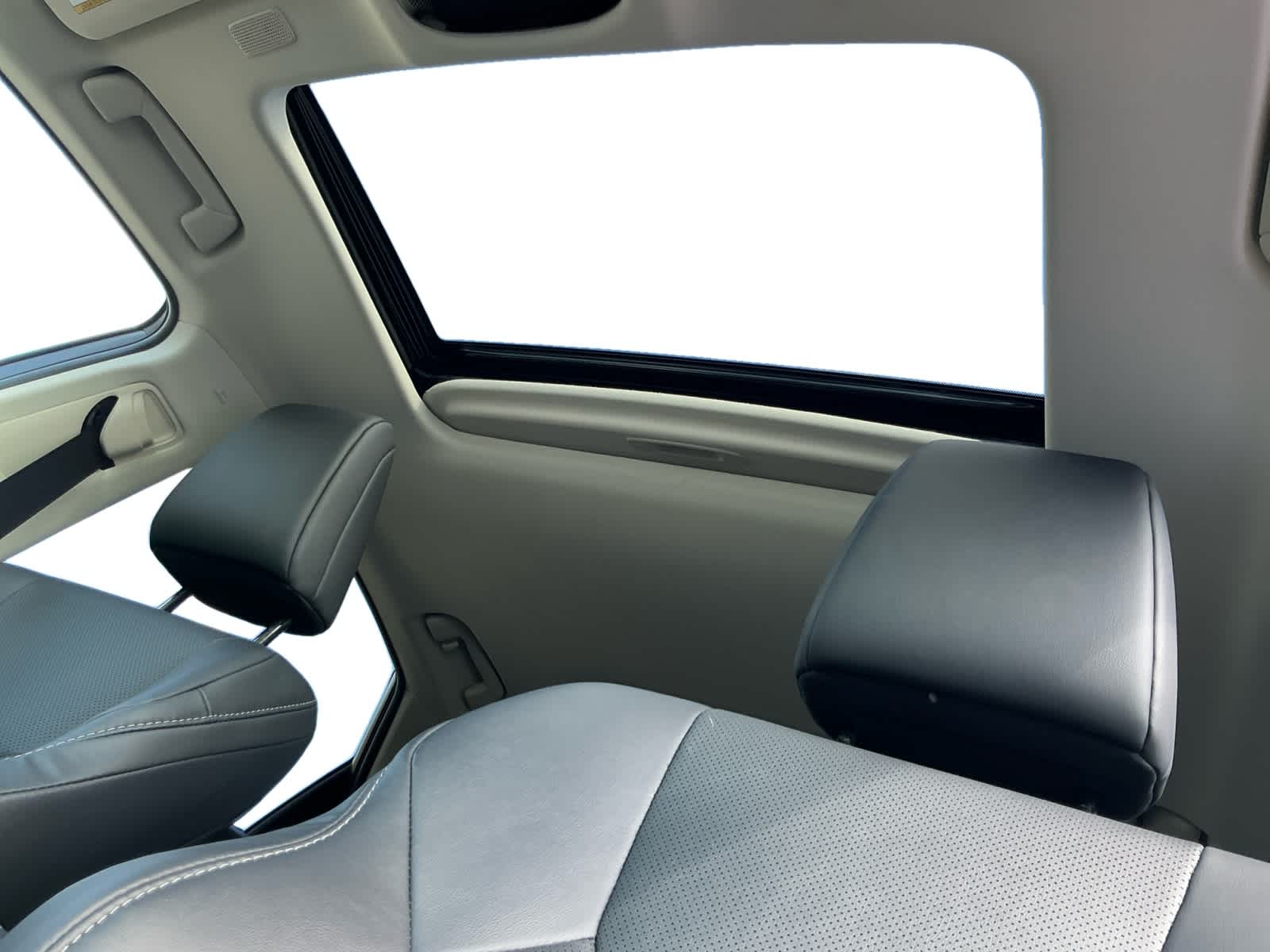 2025 Lexus NX 350 NX 350