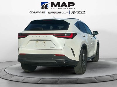 2022 Lexus NX 250 NX 250