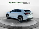 2018 Lexus NX 300 F Sport