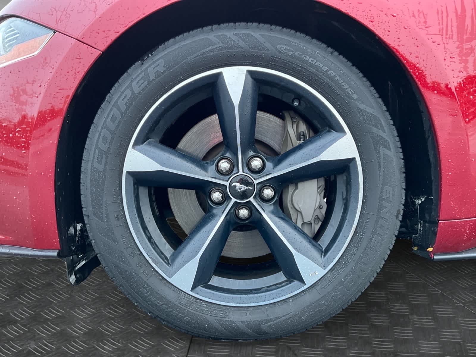 2019 Ford Mustang GT