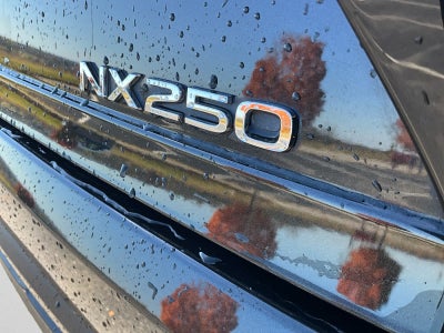 2022 Lexus NX 250 NX 250