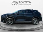 2022 Lexus NX 250 NX 250