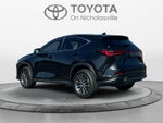2022 Lexus NX 250 NX 250