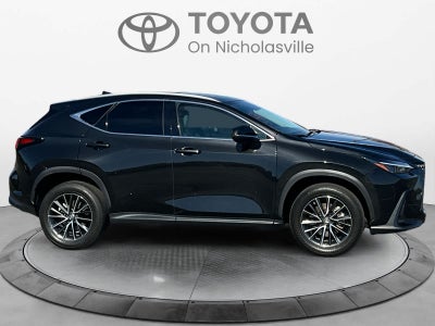 2022 Lexus NX 250 NX 250