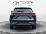 2023 Lexus NX 350 NX 350