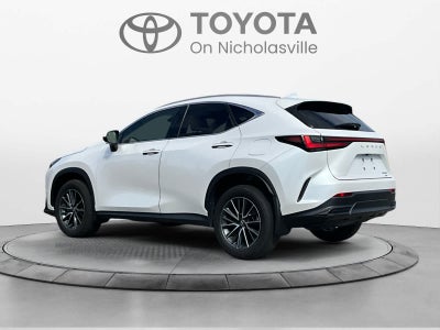 2024 Lexus NX 350 NX 350