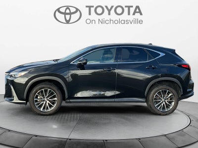 2024 Lexus NX 350 Premium
