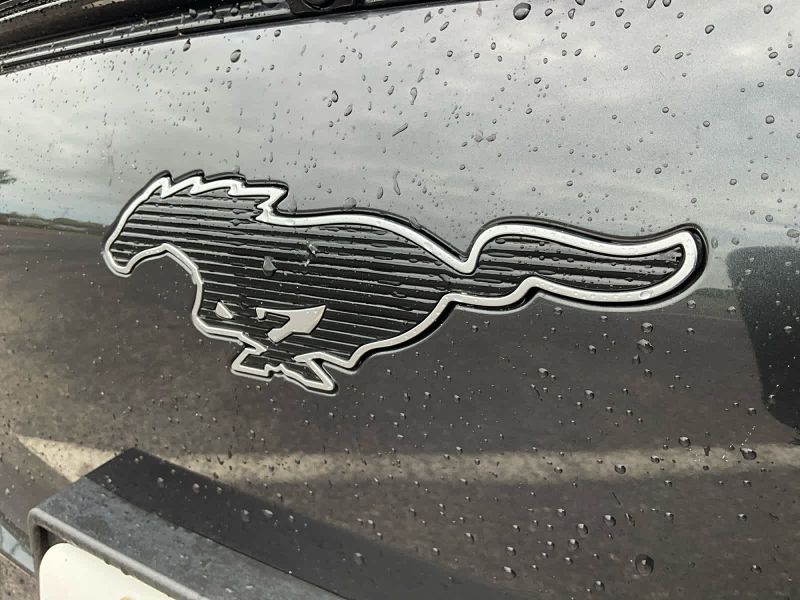 2021 Ford Mustang Mach-E Premium