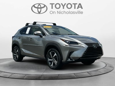 2021 Lexus NX 300h NX 300h