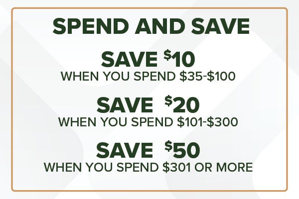 Spend and Save